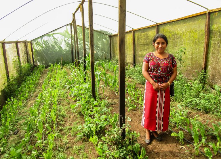 Red De Mujeres CWS Am rica Latina Y El Caribe