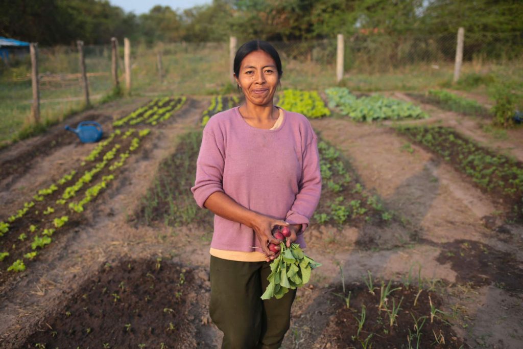 Brotan el agua y las oportunidades para agricultores locales en Paraguay