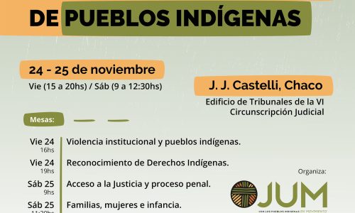 V Encuentro de Derechos Humanos de los Pueblos Indígenas
