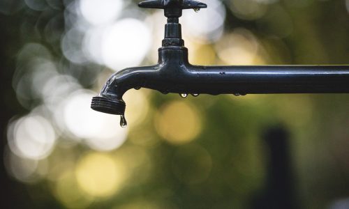 Intercambio de experiencias sobre cosecha de agua y mesas locales de acceso y uso del agua en el Chaco boliviano