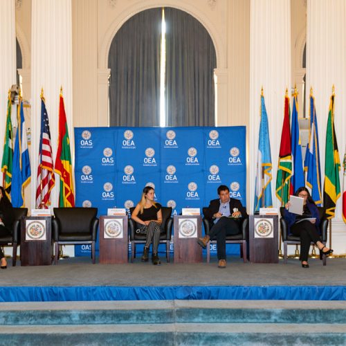 Presentación de ‘Niñez que cuenta’ en el Salón de las Américas en Washington DC