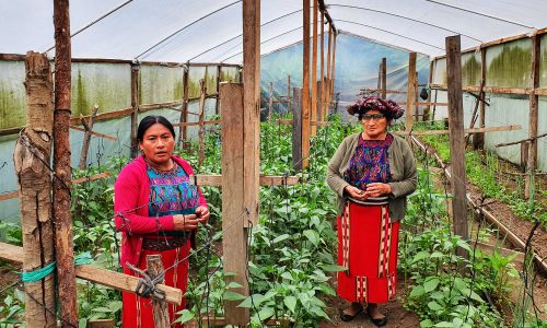 Semillas de esperanza en Nebaj, Guatemala
