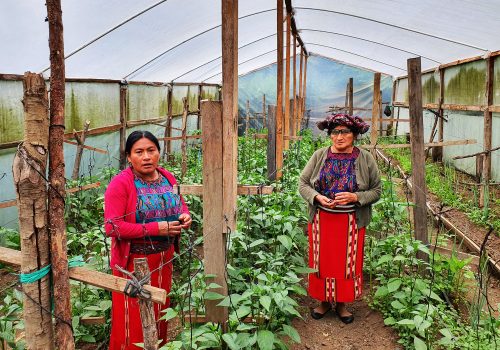 Semillas de esperanza en Nebaj, Guatemala