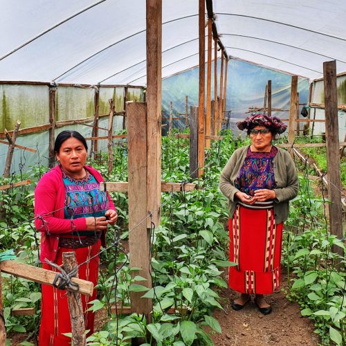 Semillas de esperanza en Nebaj, Guatemala