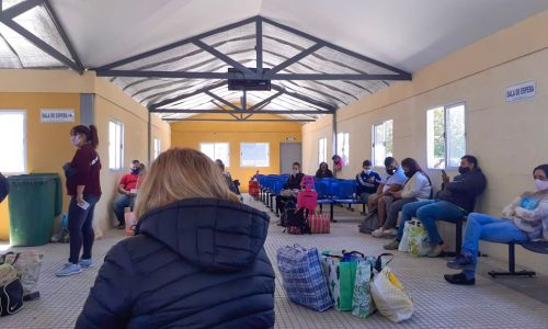 “Un simple pedazo de madera”