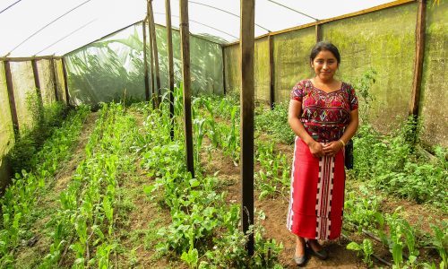 Mujeres que nos desafían