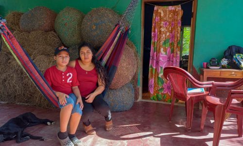 De estufas a jardines, agua y ganado, la familia de Esmeralda está prosperando