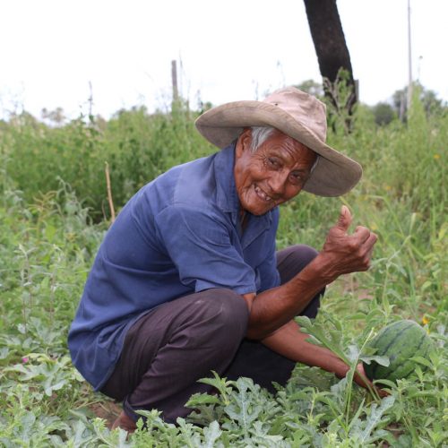 Siembra de conocimiento en comunidades indígenas de Paraguay