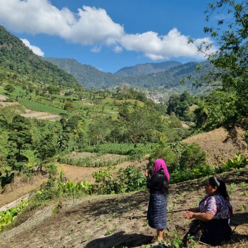 Catarina y Juana: Dos mujeres comprometidas con su familia y su comunidad