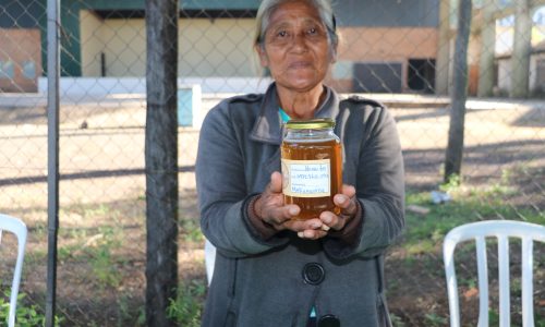 Liderazgo femenino y desarrollo comunitario en el Bajo Chaco