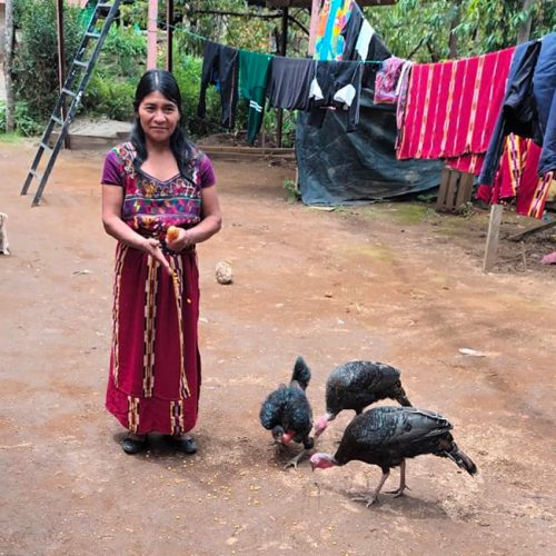 Semillas de Esperanza para 917 familias en Guatemala