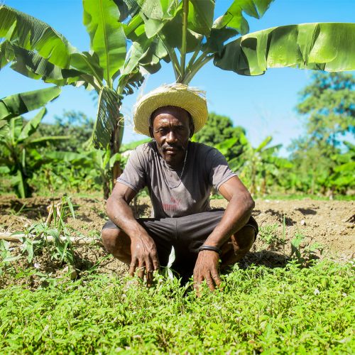 Construyendo resiliencia en Haití: voces de esperanza en medio de la crisis