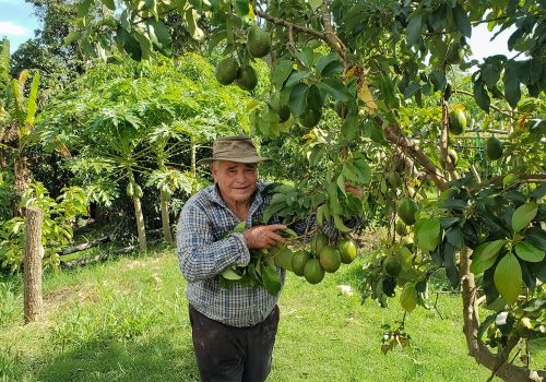 Cosechas: nutrición, aprendizaje y generosidad