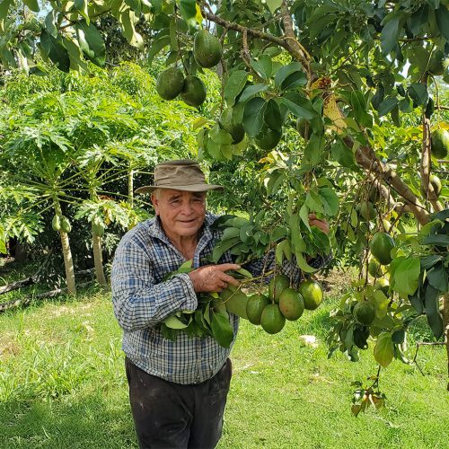 Cosechas: nutrición, aprendizaje y generosidad