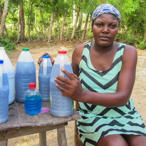 Aloe vera para la estabilidad financiera de familias en Haití