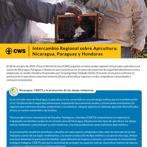 Intercambio Regional sobre Apicultura