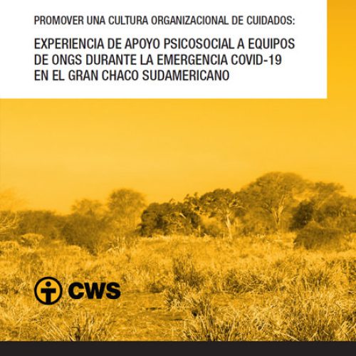 Experiencia de apoyo psicosocial a Equipos de ONGs durante la emergencia Covid-19 en el Gran Chaco Sudamericano