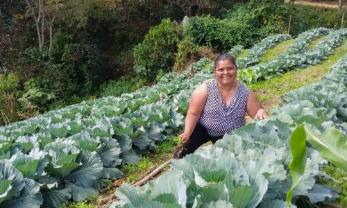 La fuerza de la perseverancia: Orfelina y su trabajo en las comunidades