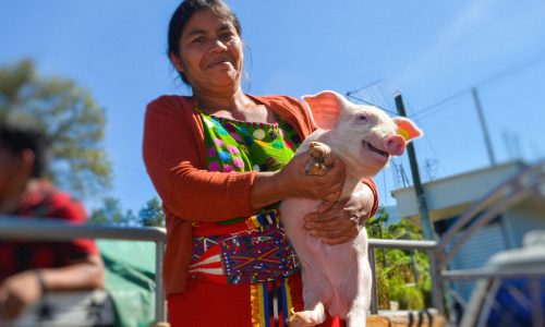 Seguridad alimentaria y apoyo psicosocial en Guatemala