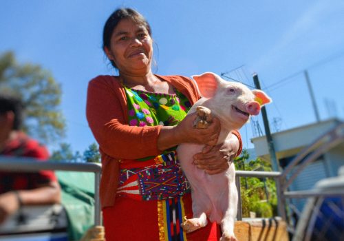 Seguridad alimentaria y apoyo psicosocial en Guatemala